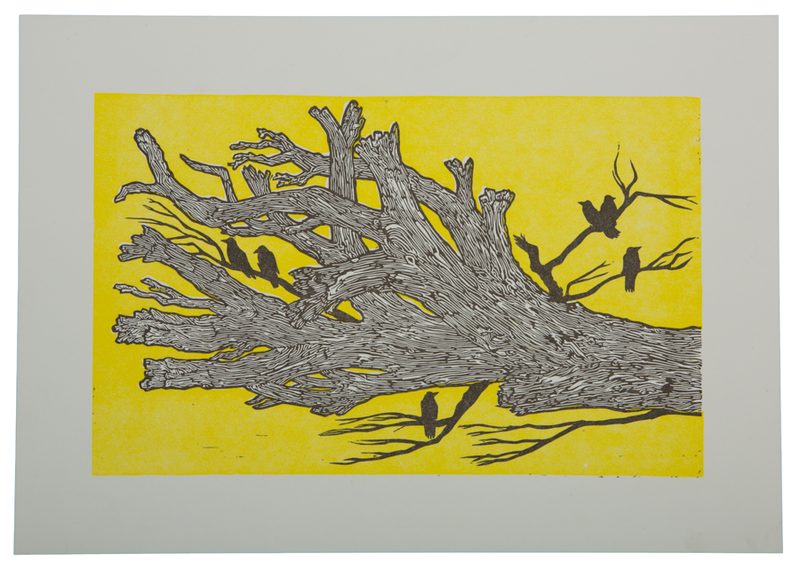 Ravenwood — Yellow